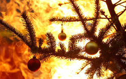 Weihnachtsbaum in OÖ ging in Flammen auf