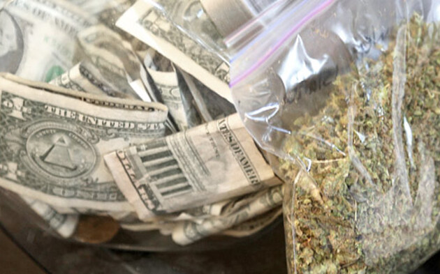 Dollar Hanf Marihuana
