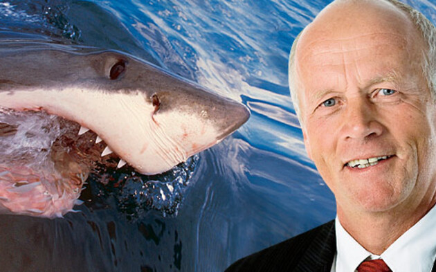 ÖVP-Politiker von Hai getötet
