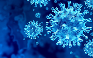 Corona "killte" offenbar Influenza B-Stamm