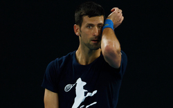 So viel zahlte "Tennis Australia" an Djokovic