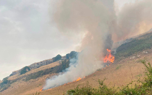 Brände: Italiens Präsident beklagte Schäden auf Sardinien
