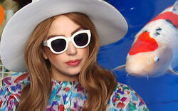 Gaga: 60.000 Dollar für 27 Goldfische