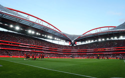 Hier sehen Sie den Salzburg-Hit gegen Benfica im TV