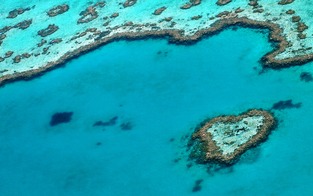 Hitzewelle schädigt Great Barrier Reef