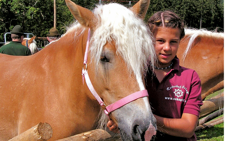 »Fest der blonden Pferde« in Annaberg