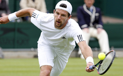 Wimbledon: Melzer siegt nach starker Leistung 
