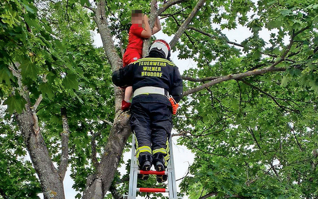 Feuerwehr rettete kleinen Fußballer von Baum