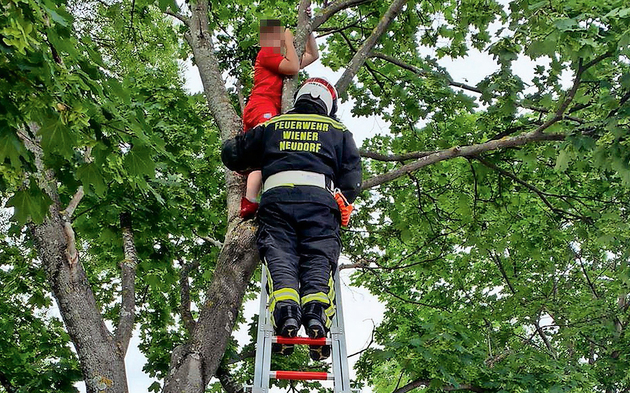 Wiener Neudorf Feuerwehr rettet Fußballer von Baum