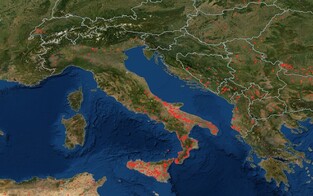 Satelliten-Aufnahme zeigt Brände in Urlaubsländern