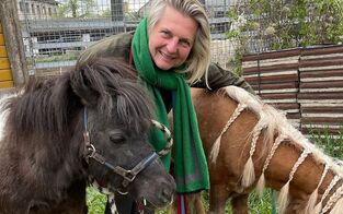 Kneissls Ponys flogen mit Militärtransporter nach Russland