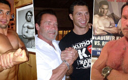 Arnie & Klitschko: Oben-ohne-Vergleich