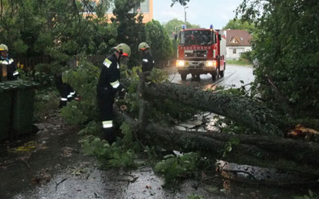 Sturmschäden in NÖ, Steiermark, Burgenland