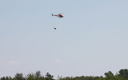 Helikopter kämpfen gegen Gelsenplage