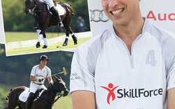 Prinz William: Polo-Turnier ohne Kate & George
