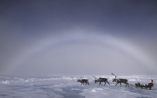 Wie wird Weihnachten am Nordpol gefeiert?