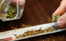 Washington legalisiert Marihuana