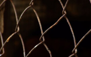 13-Jährigen in Käfig gesperrt: Sechs Frauen festgenommen