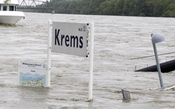 NÖ: Donau vor Höchststand