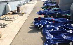 Lampedusa: Bereits 111 Tote geborgen