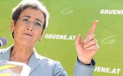 Grüne: Wahlkampf-Abschluss in Wien 