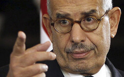 ElBaradei in Wien gelandet