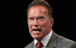 Schwarzenegger kämpft gegen Zombies