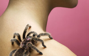 Angst lässt Spinnen größer erscheinen
