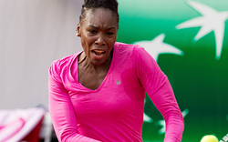 Venus Williams sagt für Wimbledon ab
